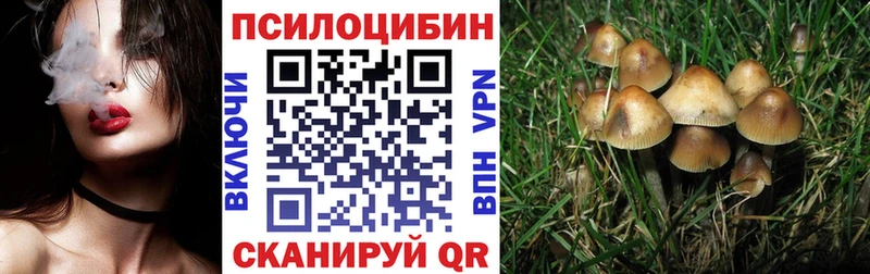 Галлюциногенные грибы Magic Shrooms  хочу наркоту  Тихорецк 